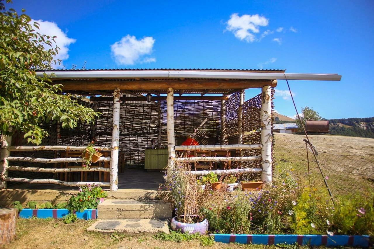 Guest House Old Omalo 외부 사진